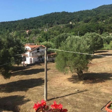 Residenza Longobardi Apartman Vibonati Kültér fotó