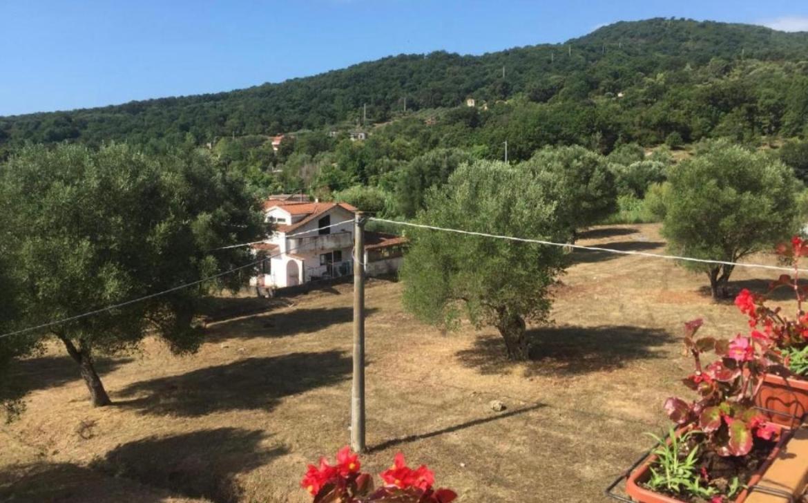Residenza Longobardi Apartman Vibonati Kültér fotó