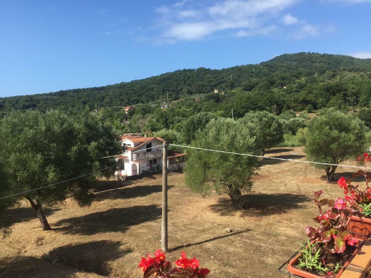 Residenza Longobardi Apartman Vibonati Kültér fotó